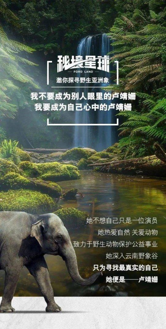 王牌部队:作为唯二留任集团军的高干,秦汉勇顾一野各自凭什么?